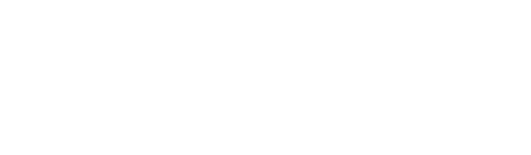 Newbury Town Council Footer Logo