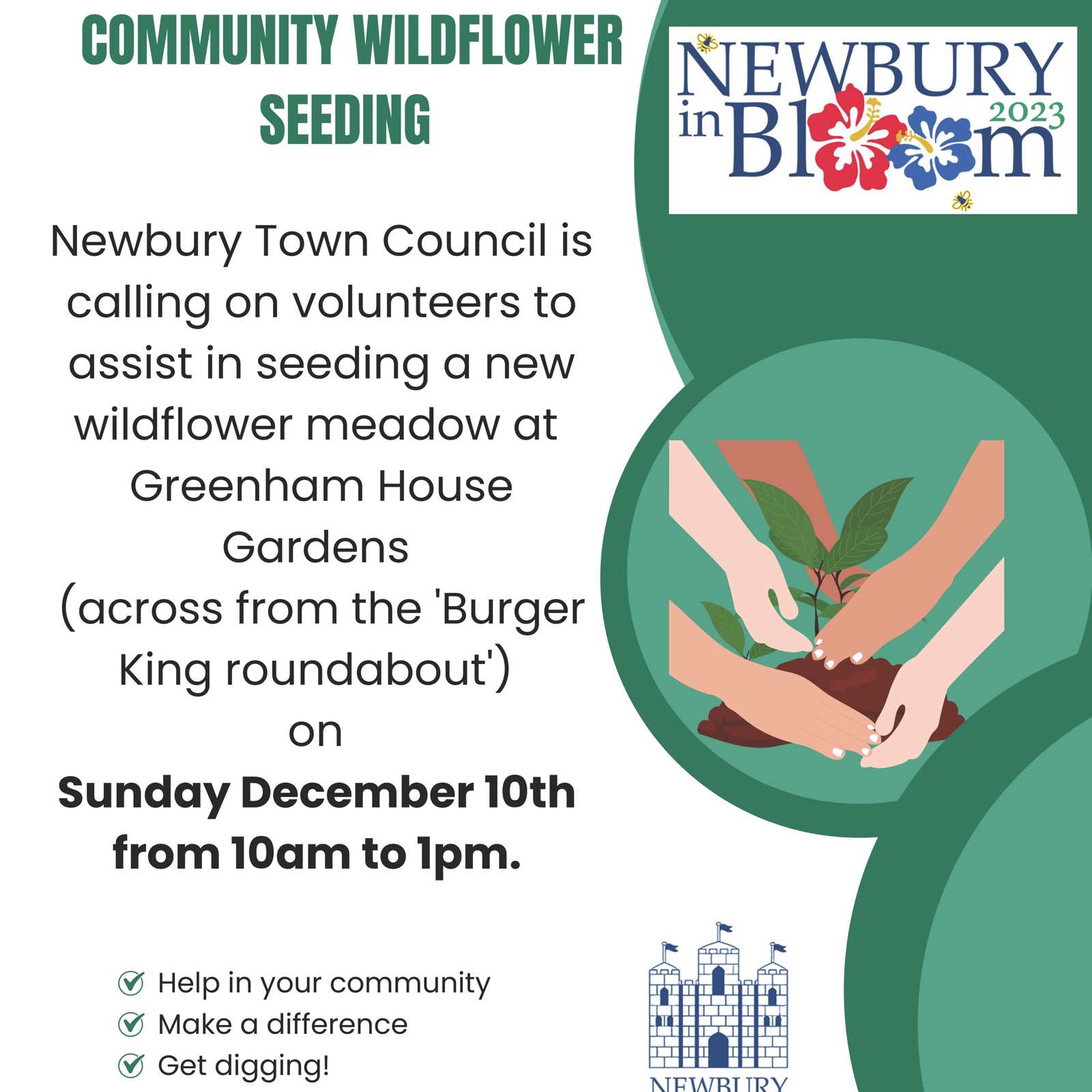 Wildflower Seeding (Facebook Post) (Poster) (1)