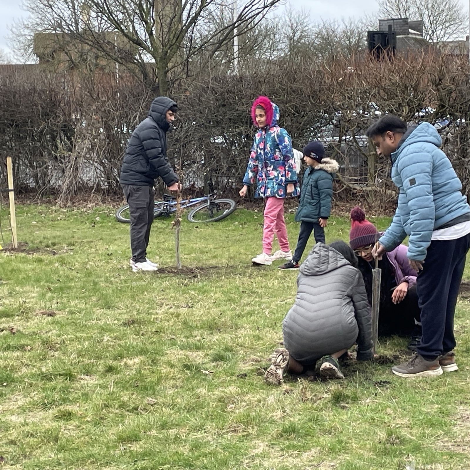 Volunteers Helping To Plant The Tress At Hutton Close