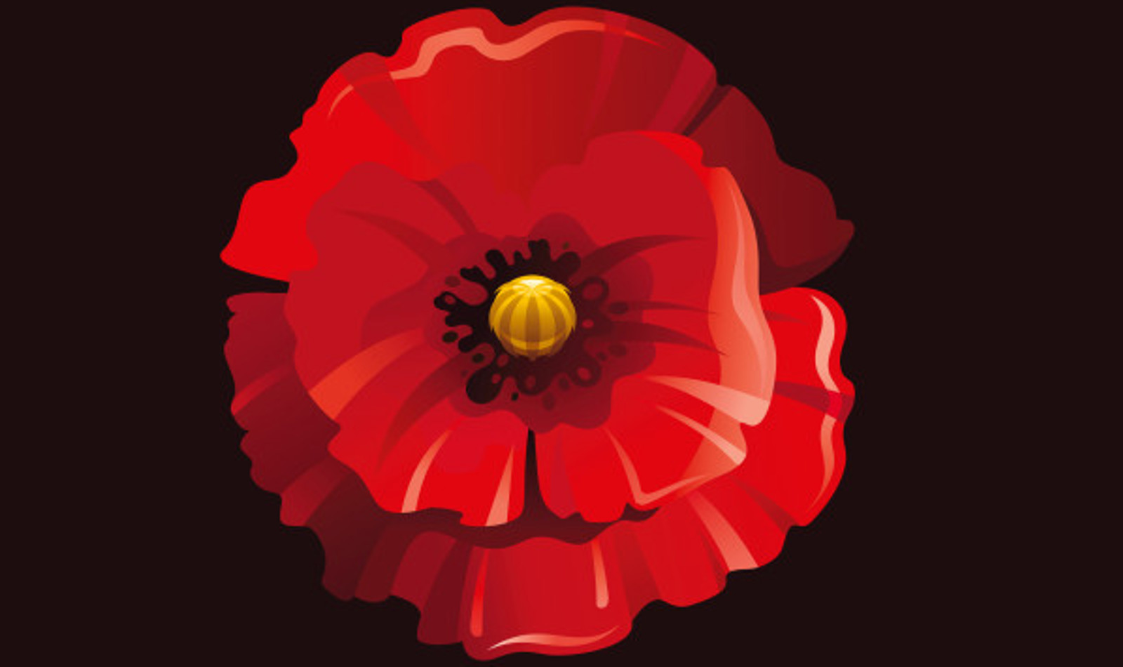 Red Poppy Flower Remembrance Day 144101 111 (1)