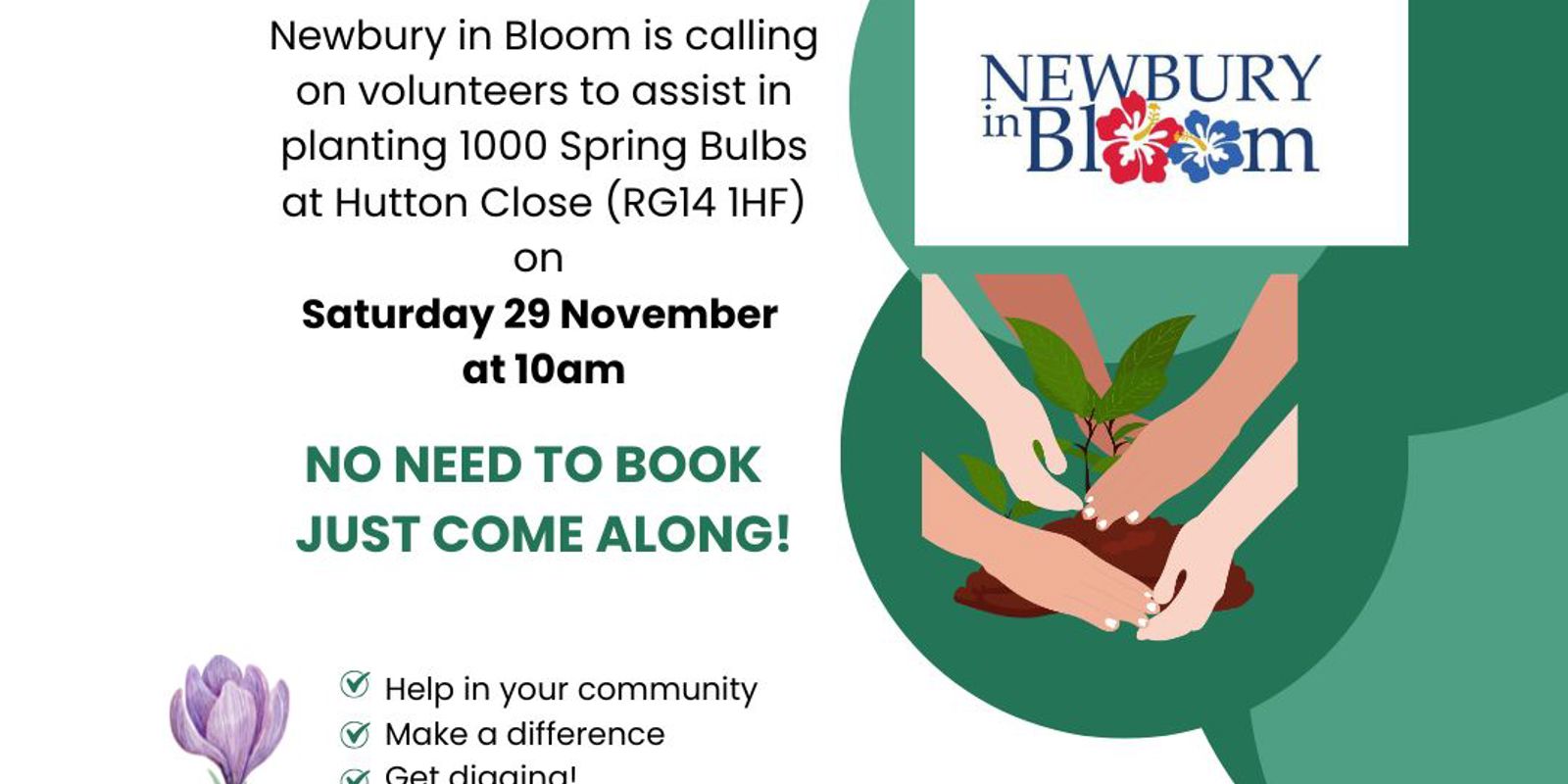 Hutton Close Bulb Planting Insta Pic