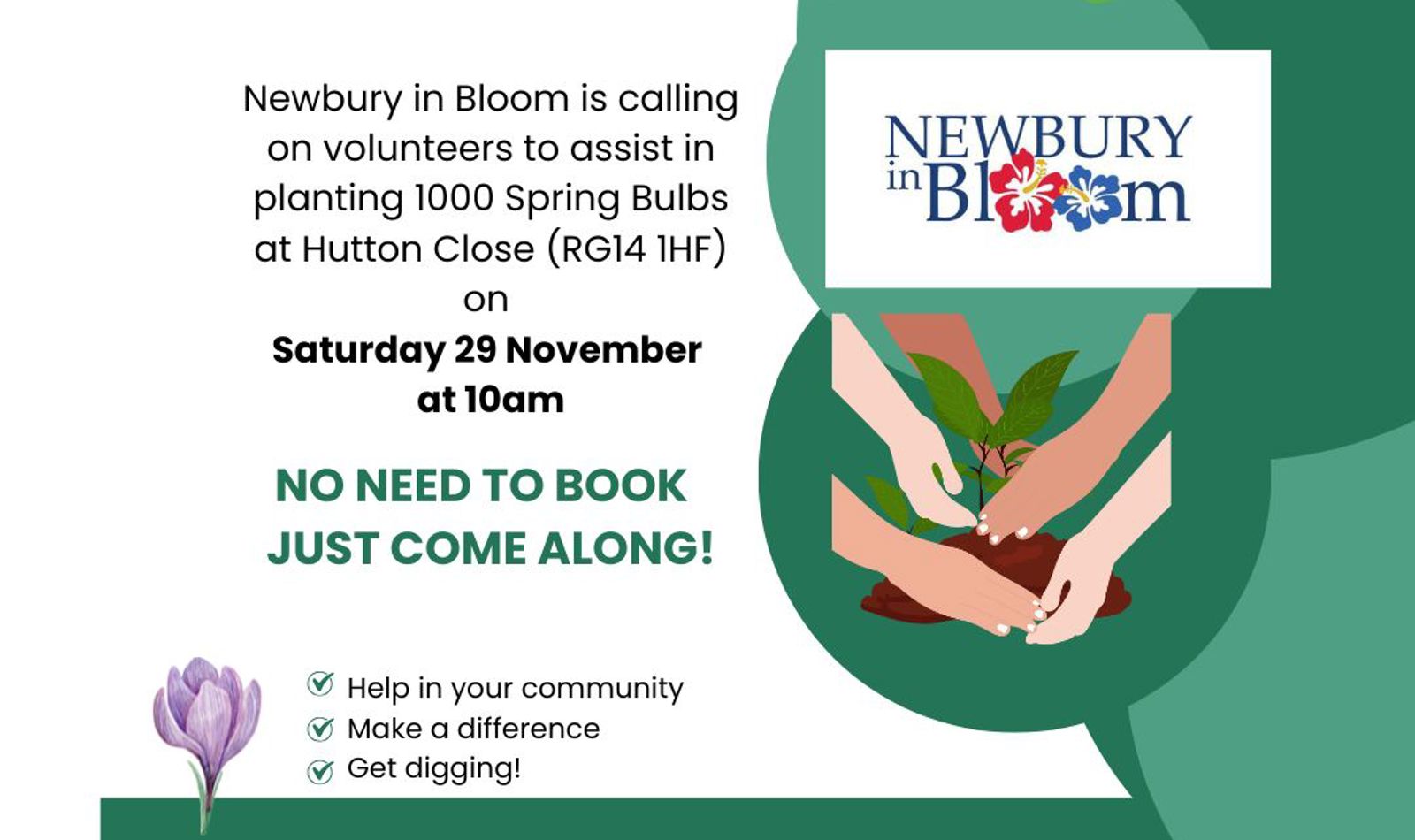 Hutton Close Bulb Planting Insta Pic