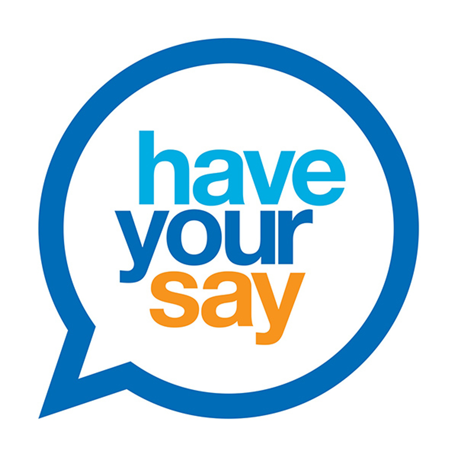 Have Your Say Hi Res LOGO