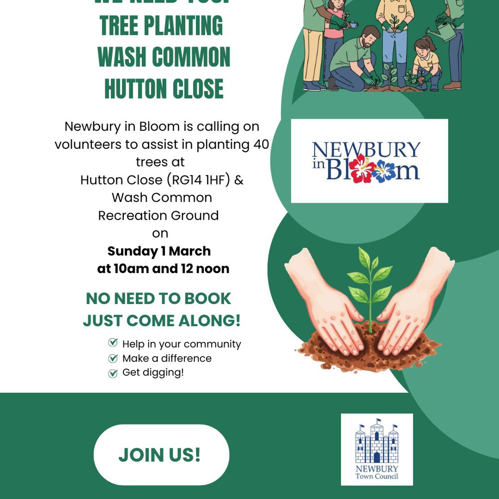 Tree Planting Insta