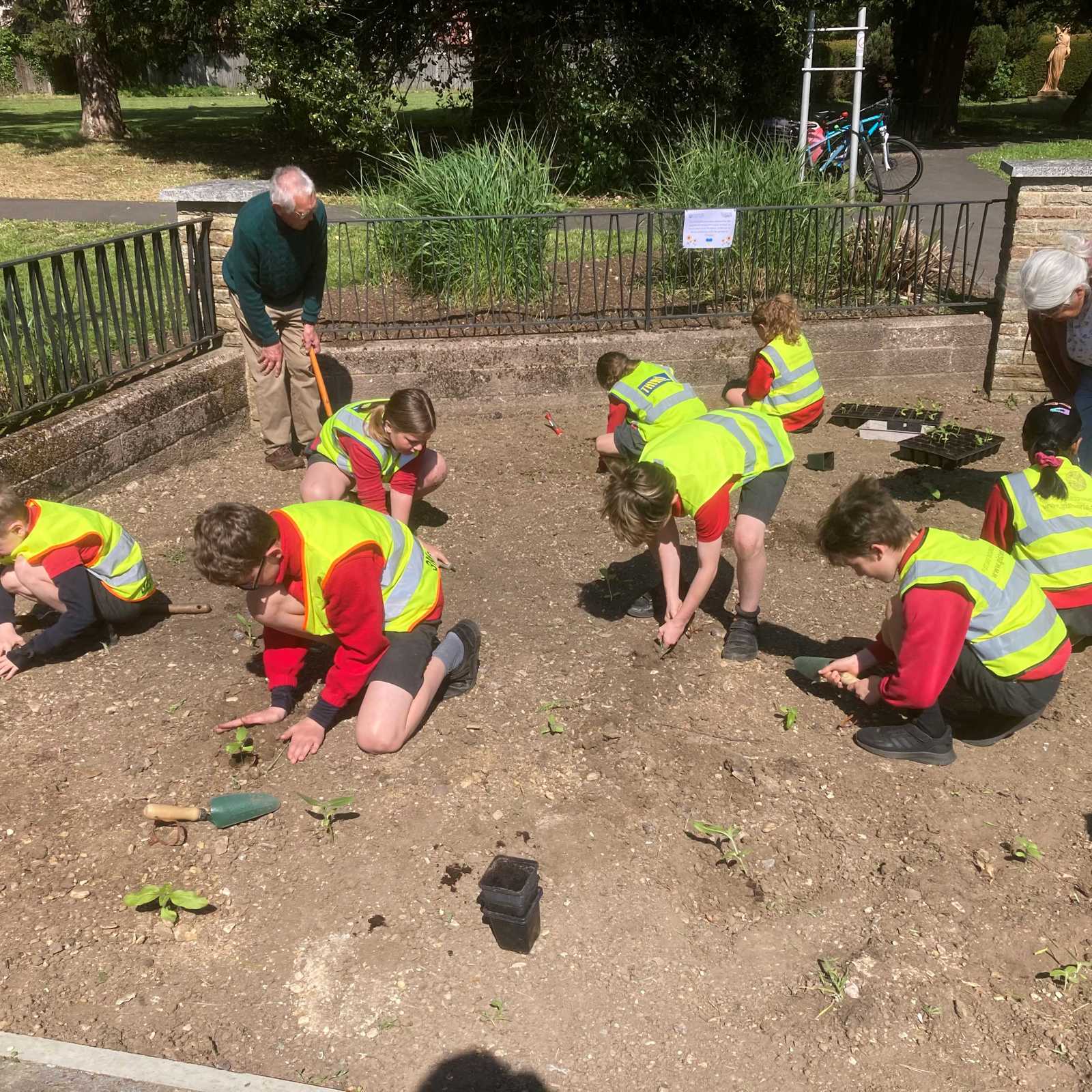 Children Planting The Sunflowers