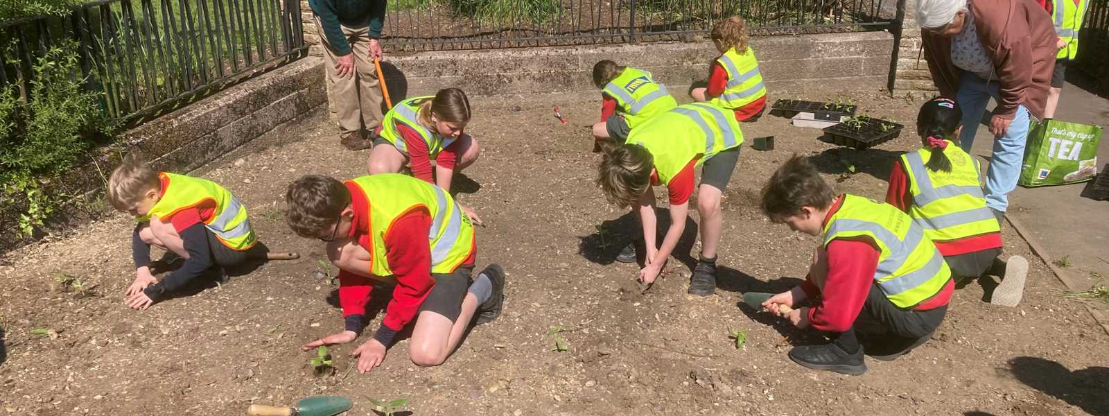 Children Planting The Sunflowers