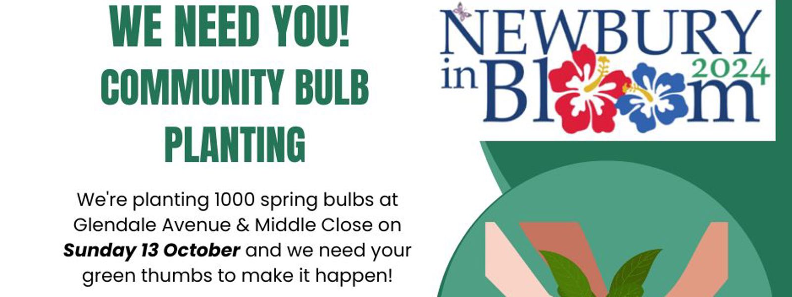 Bulb Planting Glendale Av 13 October 24