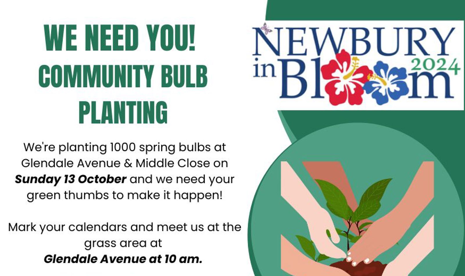 Bulb Planting Glendale Av 13 October 24