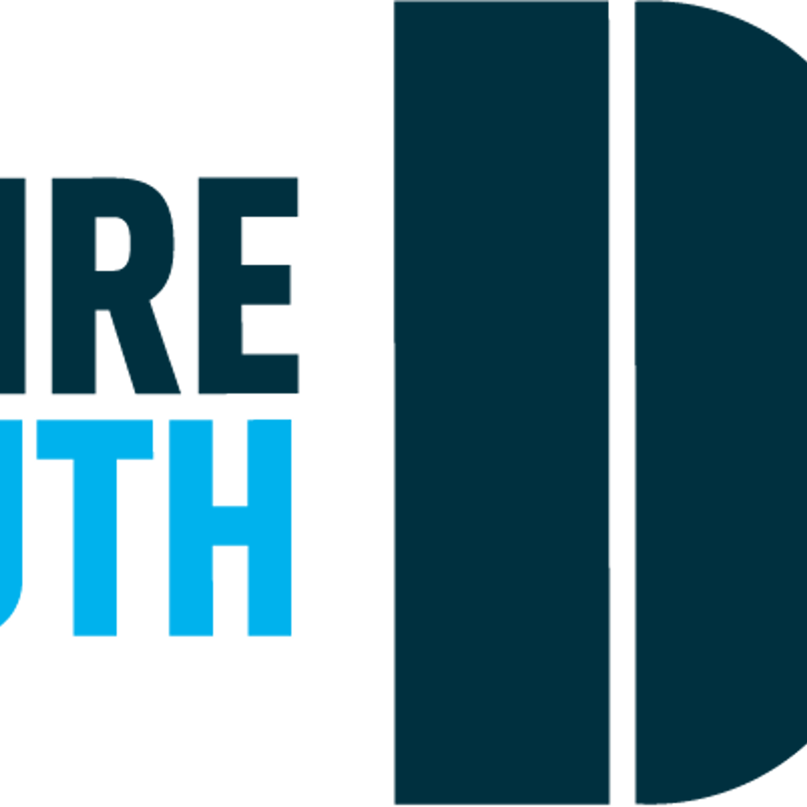 Berkshire Youth 5 Logo Final CMYK (002)