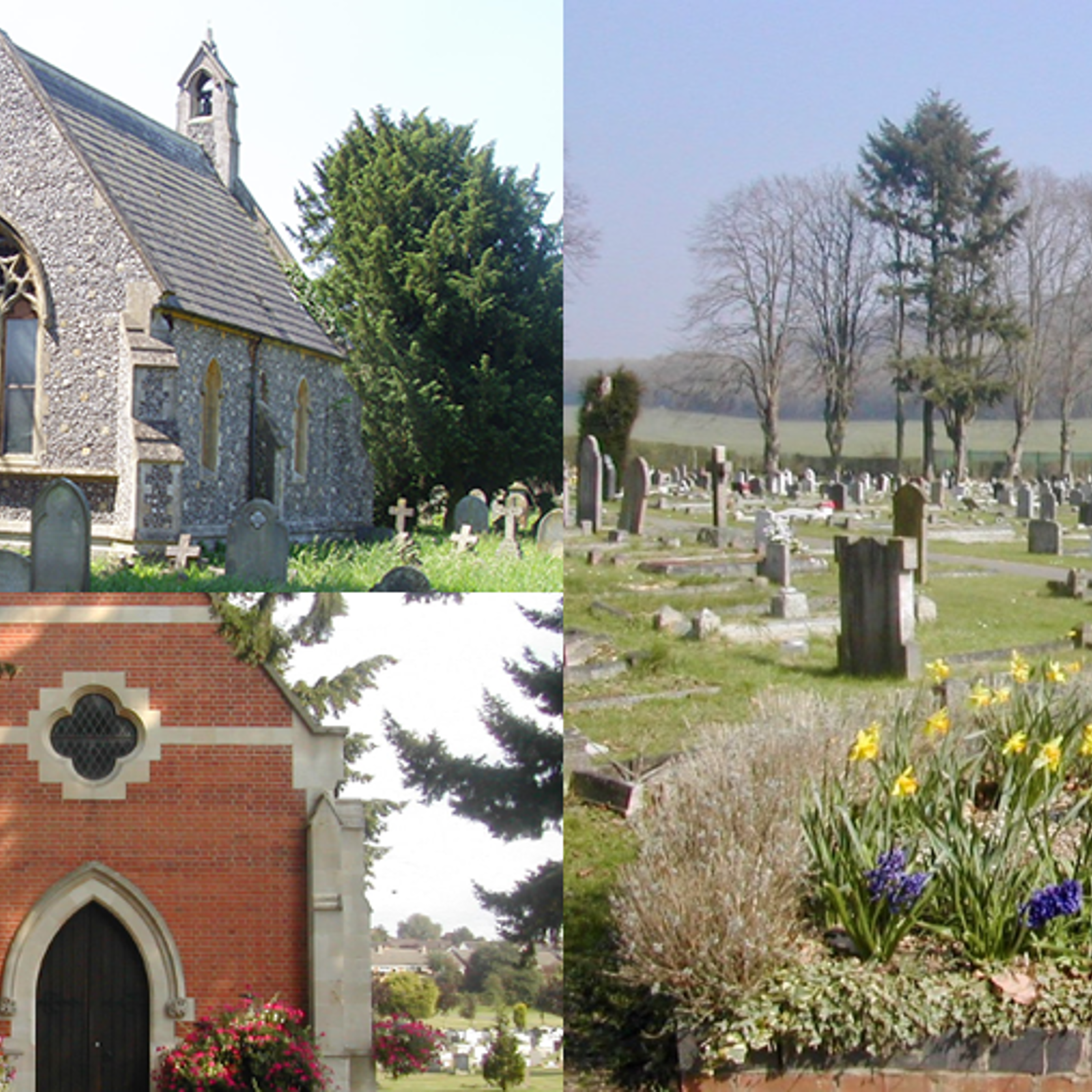 Mission & Strategy 1.5