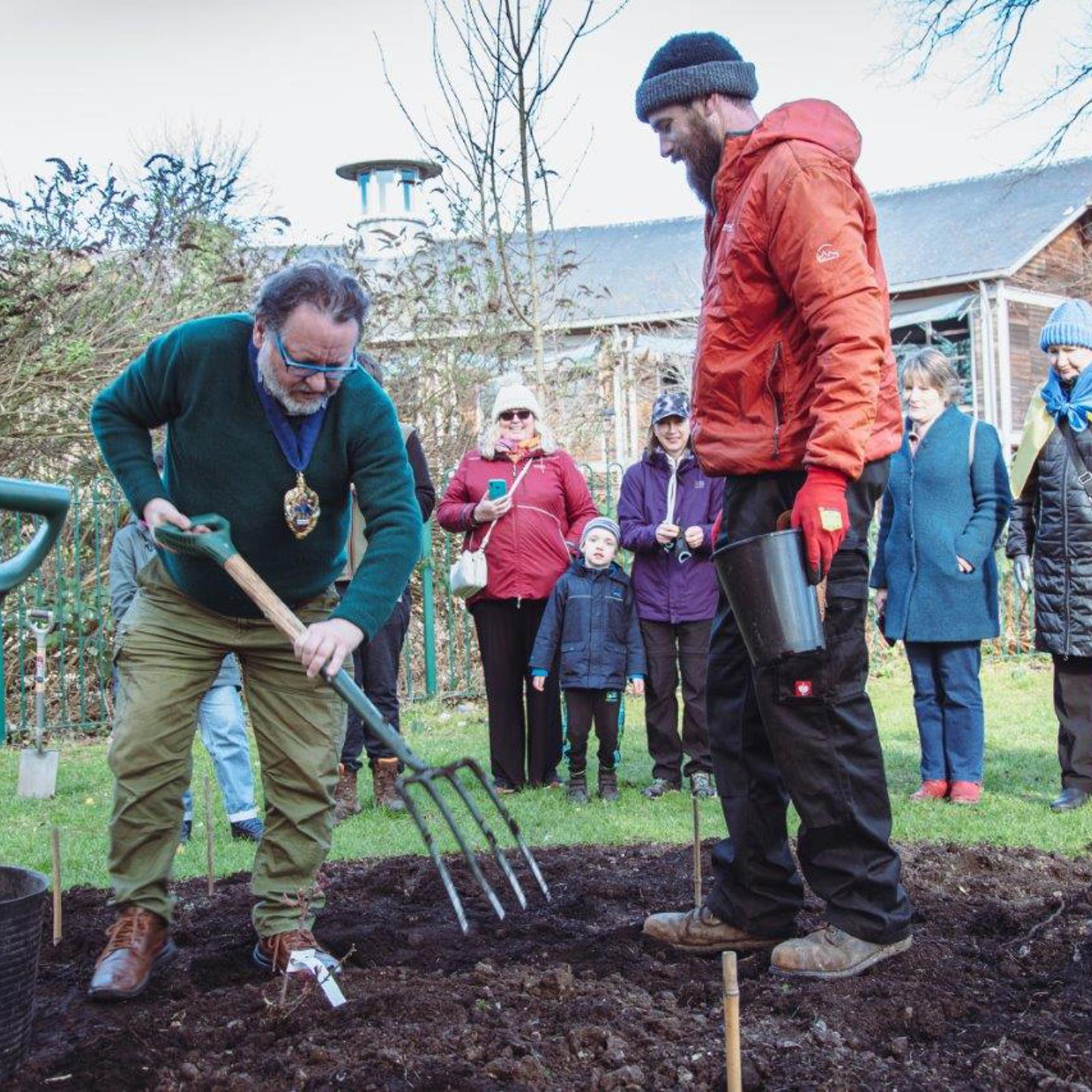 The Mayor Helping To Plant The Rose Bed At The Peace Gardens
