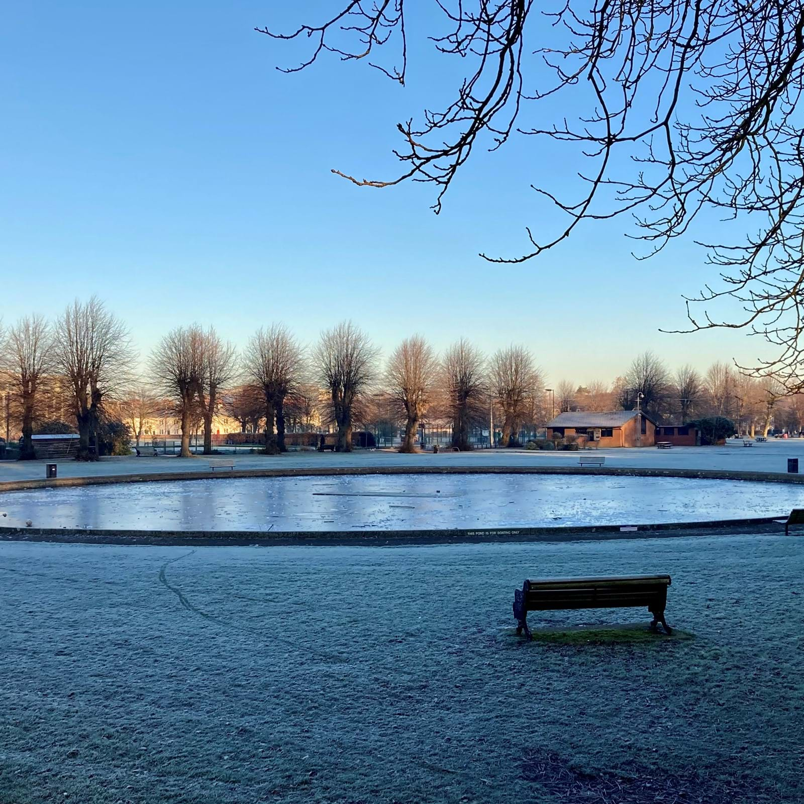 Frozen Pond