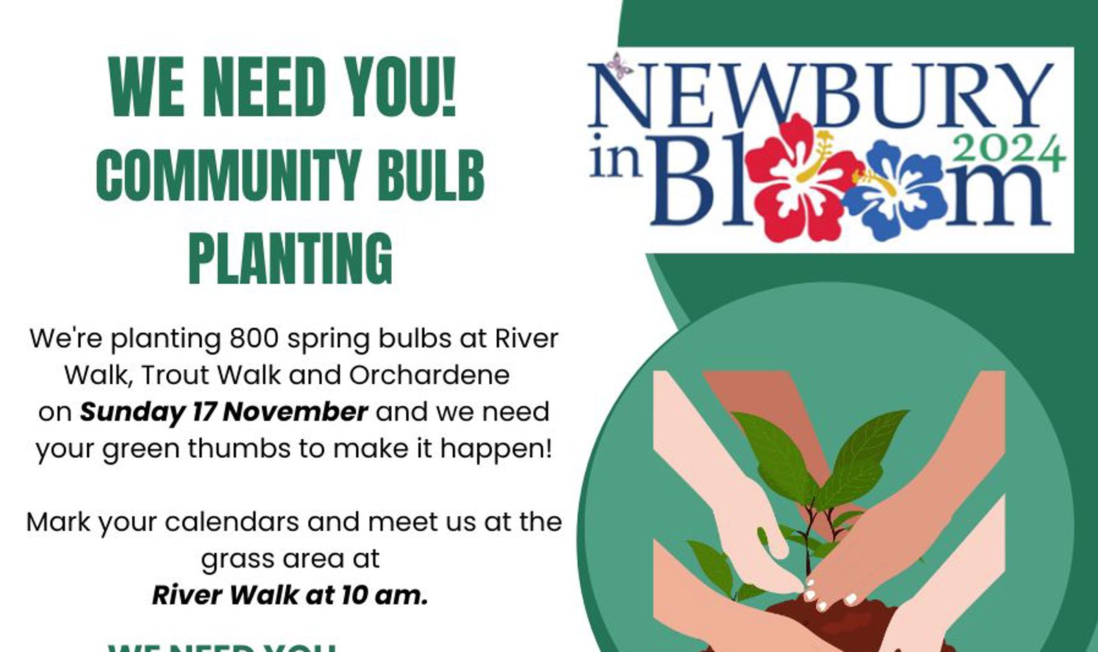 Bulb Planting Clay Hill